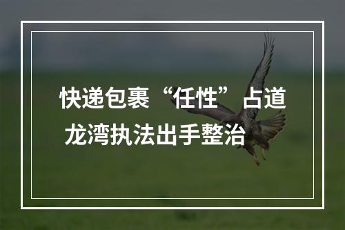 快递包裹“任性”占道 龙湾执法出手整治