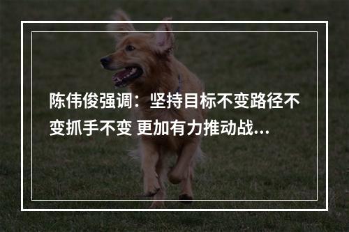 陈伟俊强调：坚持目标不变路径不变抓手不变 更加有力推动战略深化成效提升