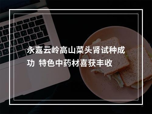 永嘉云岭高山菜头肾试种成功  特色中药材喜获丰收