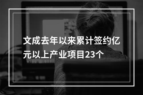 文成去年以来累计签约亿元以上产业项目23个