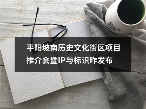 平阳坡南历史文化街区项目推介会暨IP与标识昨发布