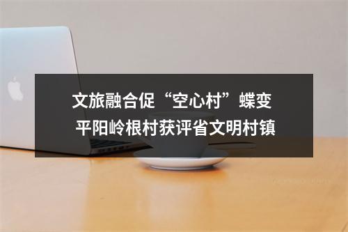 文旅融合促“空心村”蝶变  平阳岭根村获评省文明村镇