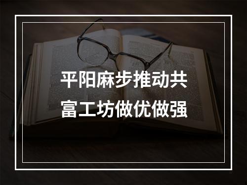 平阳麻步推动共富工坊做优做强