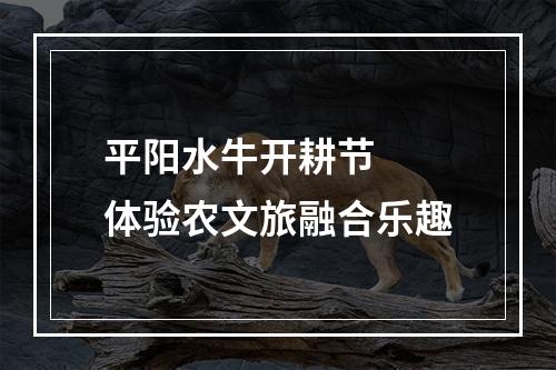 平阳水牛开耕节  体验农文旅融合乐趣