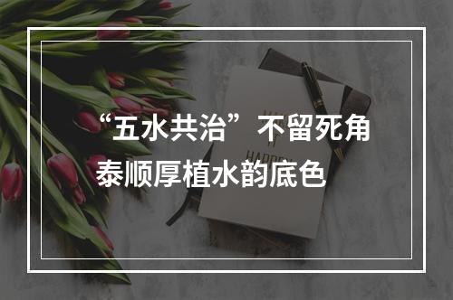 “五水共治”不留死角  泰顺厚植水韵底色