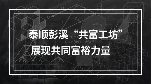 泰顺彭溪“共富工坊” 展现共同富裕力量