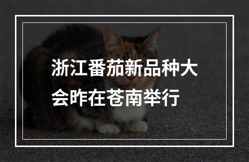 浙江番茄新品种大会昨在苍南举行