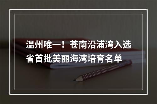 温州唯一！苍南沿浦湾入选省首批美丽海湾培育名单