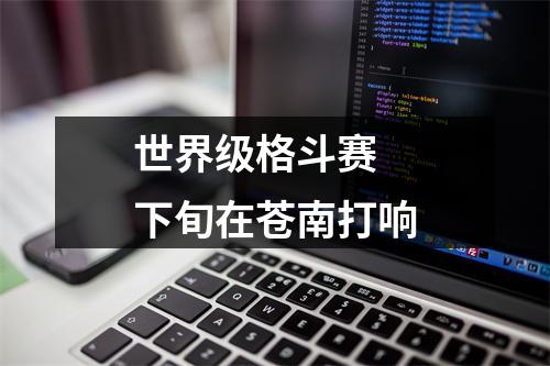 世界级格斗赛 下旬在苍南打响