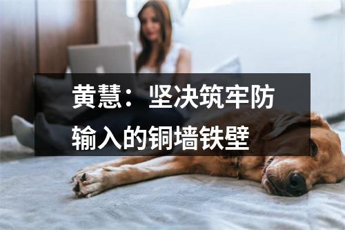 黄慧：坚决筑牢防输入的铜墙铁壁