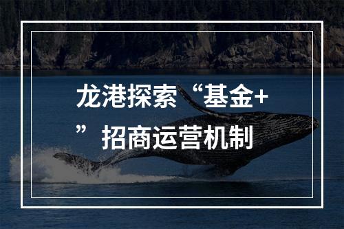 龙港探索“基金+”招商运营机制