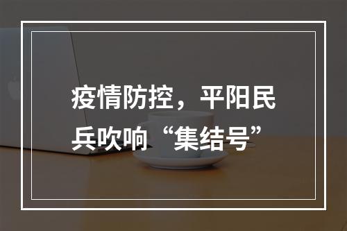 疫情防控，平阳民兵吹响“集结号”