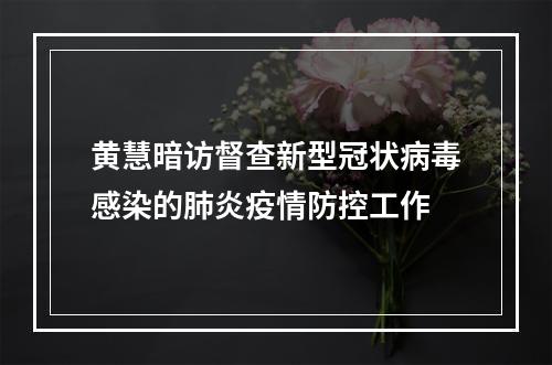 黄慧暗访督查新型冠状病毒感染的肺炎疫情防控工作