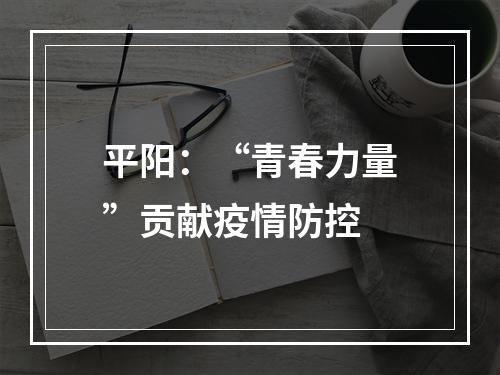 平阳：“青春力量”贡献疫情防控