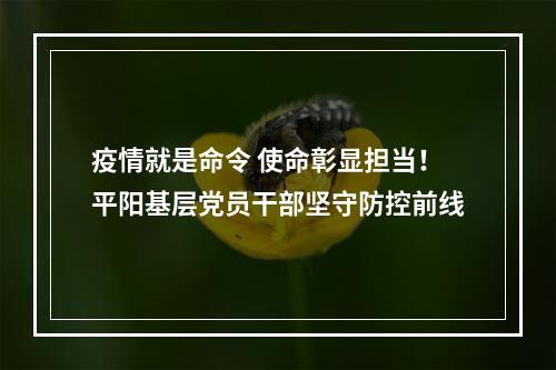 疫情就是命令 使命彰显担当！平阳基层党员干部坚守防控前线