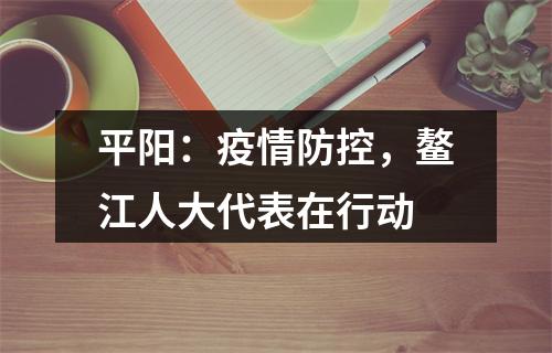 平阳：疫情防控，鳌江人大代表在行动