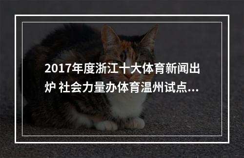 2017年度浙江十大体育新闻出炉 社会力量办体育温州试点入选