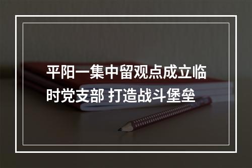 平阳一集中留观点成立临时党支部 打造战斗堡垒