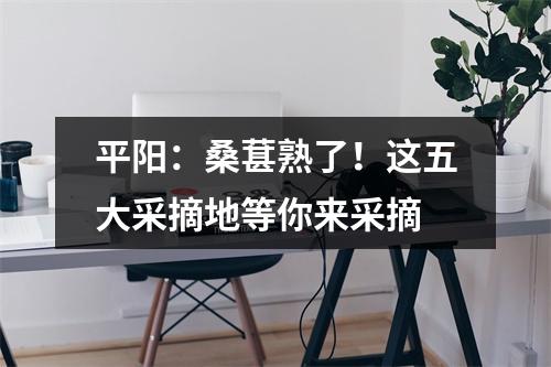 平阳：桑葚熟了！这五大采摘地等你来采摘