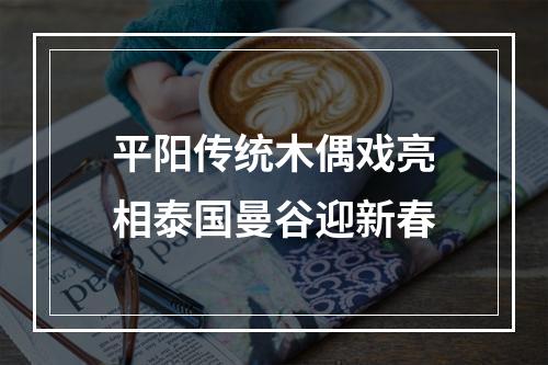 平阳传统木偶戏亮相泰国曼谷迎新春