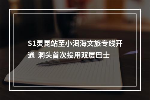 S1灵昆站至小洱海文旅专线开通  洞头首次投用双层巴士