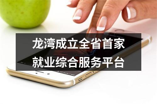 龙湾成立全省首家就业综合服务平台