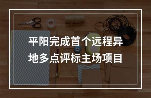 平阳完成首个远程异地多点评标主场项目