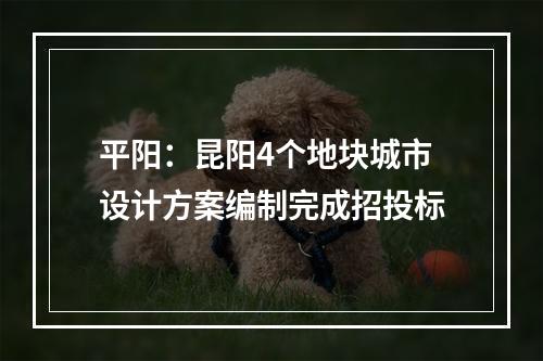 平阳：昆阳4个地块城市设计方案编制完成招投标
