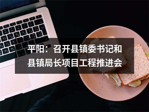 平阳：召开县镇委书记和县镇局长项目工程推进会