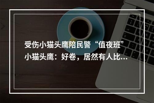 受伤小猫头鹰陪民警“值夜班” 小猫头鹰：好卷，居然有人比我更懂熬夜