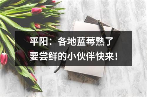 平阳：各地蓝莓熟了 要尝鲜的小伙伴快来！