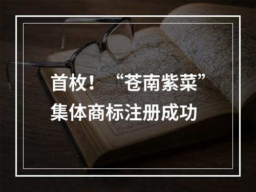 首枚！“苍南紫菜”集体商标注册成功