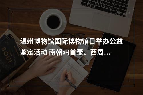 温州博物馆国际博物馆日举办公益鉴定活动 南朝鸡首壶、西周“玉握”……205件民间藏品中宝贝还不少