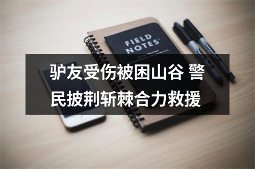 驴友受伤被困山谷 警民披荆斩棘合力救援