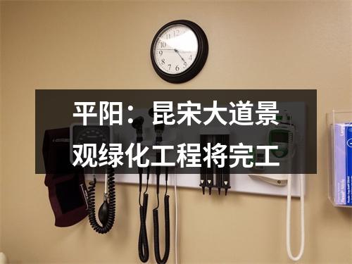 平阳：昆宋大道景观绿化工程将完工