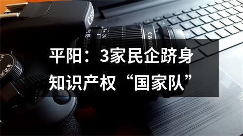 平阳：3家民企跻身知识产权“国家队”