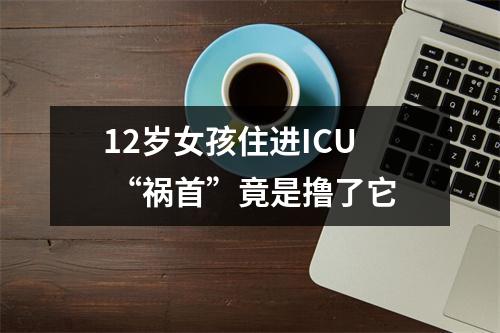 12岁女孩住进ICU “祸首”竟是撸了它