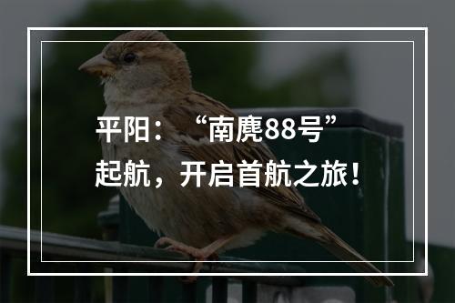 平阳：“南麂88号” 起航，开启首航之旅！