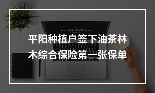 平阳种植户签下油茶林木综合保险第一张保单
