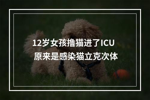 12岁女孩撸猫进了ICU 原来是感染猫立克次体