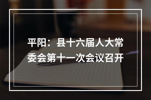 平阳：县十六届人大常委会第十一次会议召开