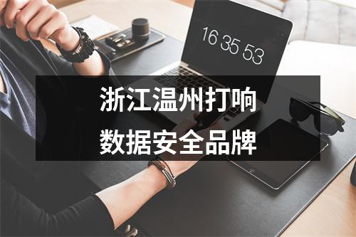 浙江温州打响数据安全品牌