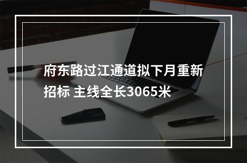 府东路过江通道拟下月重新招标 主线全长3065米
