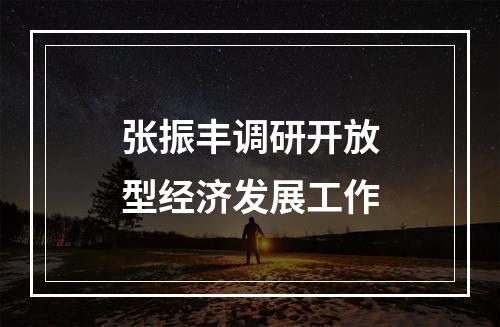 张振丰调研开放型经济发展工作