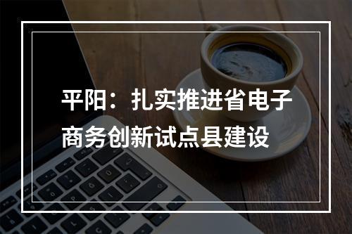 平阳：扎实推进省电子商务创新试点县建设