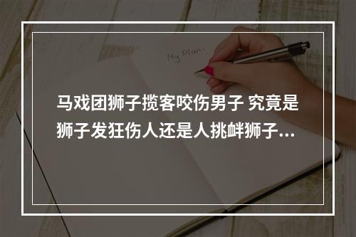 马戏团狮子揽客咬伤男子 究竟是狮子发狂伤人还是人挑衅狮子？