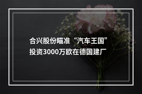 合兴股份瞄准“汽车王国” 投资3000万欧在德国建厂