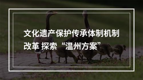 文化遗产保护传承体制机制改革 探索“温州方案”