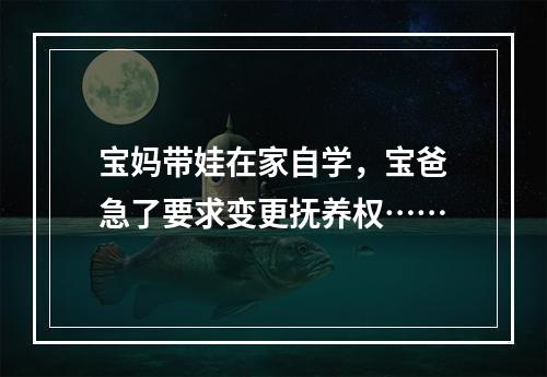 宝妈带娃在家自学，宝爸急了要求变更抚养权……
