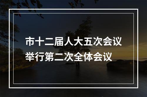 市十二届人大五次会议举行第二次全体会议